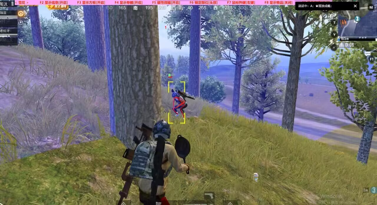 和平精英辅助【飞鸟】